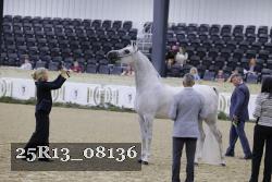 25R13_08136 thumbnail
