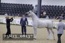 25R13_08137 thumbnail