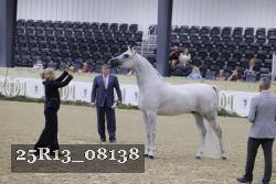 25R13_08138 thumbnail