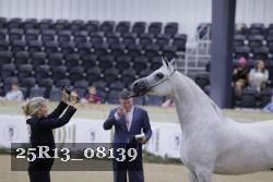 25R13_08139 thumbnail