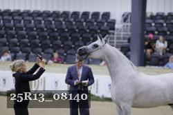 25R13_08140 thumbnail