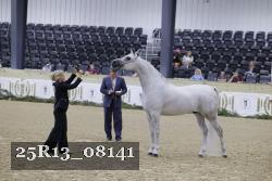 25R13_08141 thumbnail