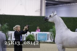 25R13_08142 thumbnail
