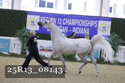 25R13_08143 thumbnail