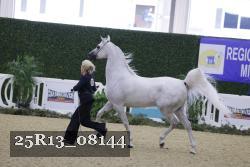25R13_08144 thumbnail
