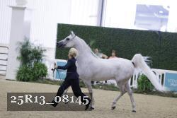 25R13_08145 thumbnail