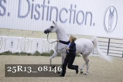 25R13_08146 thumbnail