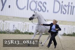 25R13_08147 thumbnail