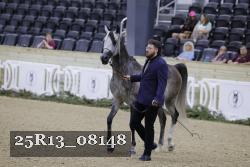 25R13_08148 thumbnail