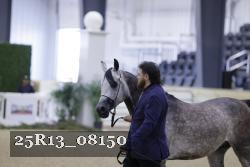 25R13_08150 thumbnail