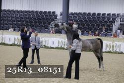 25R13_08151 thumbnail