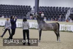25R13_08152 thumbnail