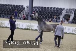 25R13_08154 thumbnail