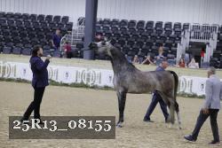 25R13_08155 thumbnail