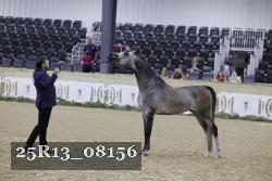 25R13_08156 thumbnail