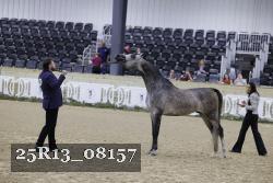25R13_08157 thumbnail