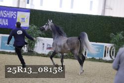 25R13_08158 thumbnail