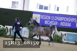 25R13_08159 thumbnail