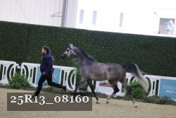 25R13_08160 thumbnail