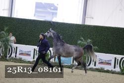 25R13_08161 thumbnail