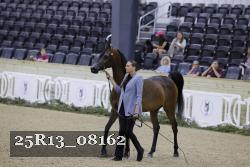 25R13_08162 thumbnail
