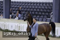 25R13_08163 thumbnail