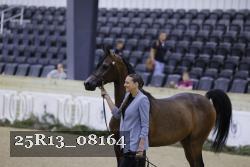 25R13_08164 thumbnail
