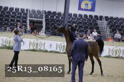 25R13_08165 thumbnail
