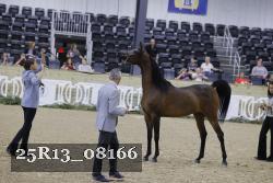 25R13_08166 thumbnail
