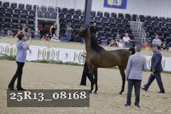 25R13_08168 thumbnail