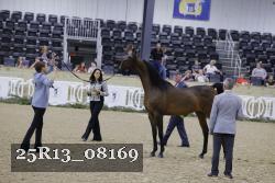 25R13_08169 thumbnail