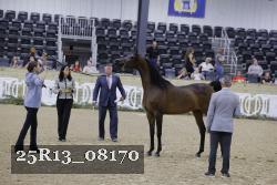 25R13_08170 thumbnail