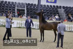 25R13_08171 thumbnail