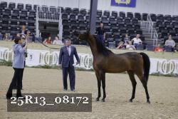 25R13_08172 thumbnail