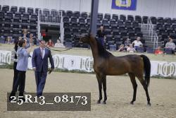 25R13_08173 thumbnail