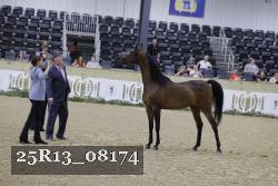 25R13_08174 thumbnail