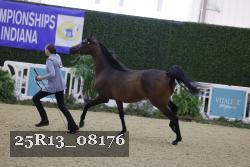 25R13_08176 thumbnail