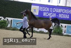 25R13_08177 thumbnail