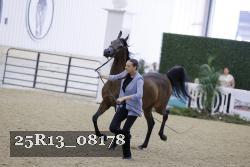 25R13_08178 thumbnail