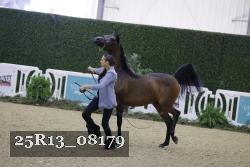 25R13_08179 thumbnail