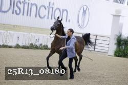 25R13_08180 thumbnail