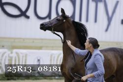 25R13_08181 thumbnail