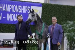 25R13_08183 thumbnail