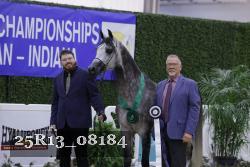 25R13_08184 thumbnail