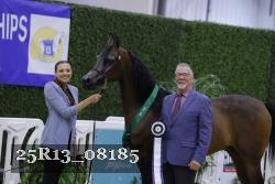 25R13_08185 thumbnail