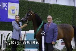 25R13_08186 thumbnail