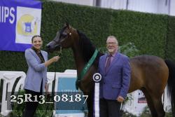 25R13_08187 thumbnail