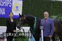 25R13_08193 thumbnail