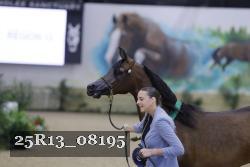 25R13_08195 thumbnail