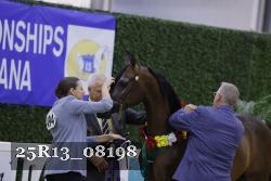 25R13_08198 thumbnail
